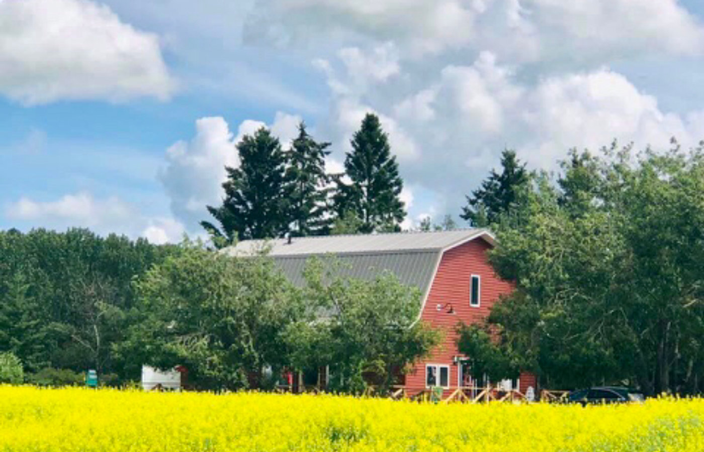 Little Red Barn Cafe & Gift